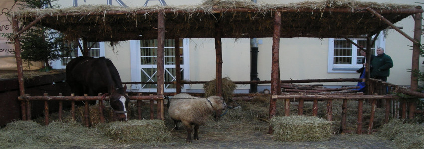 Szopka Staromiejska